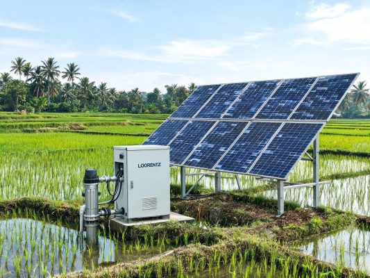 harga distributor lorentz