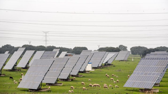 Pertanian Berkelanjutan dengan Inovasi Smart Farming