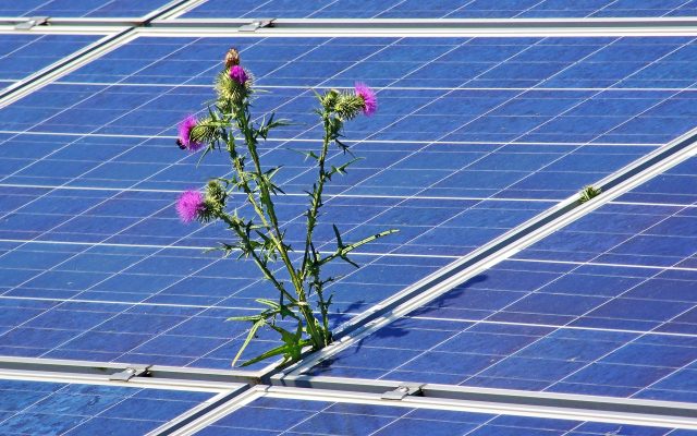 Pompa Air Tenaga Surya untuk Puskesmas di Daerah Terpencil