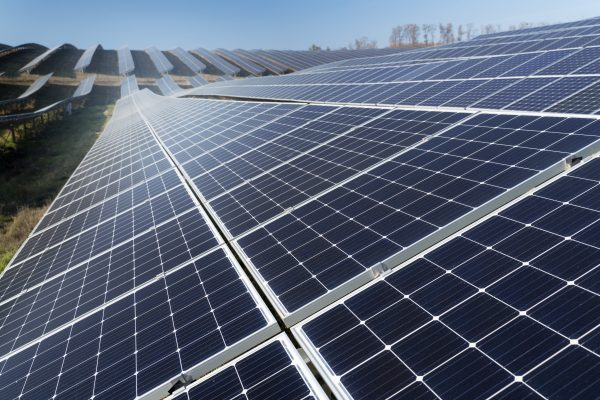 Panel Surya Solusi Hemat Listrik Tanpa PLN di Perkebunan