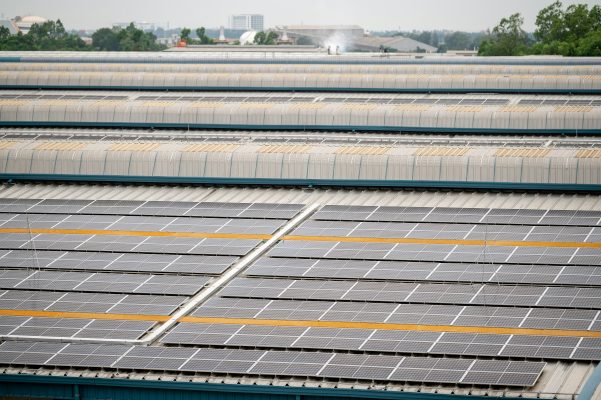 Hemat Listrik Tanpa PLN dengan Energi Surya untuk Peternakan