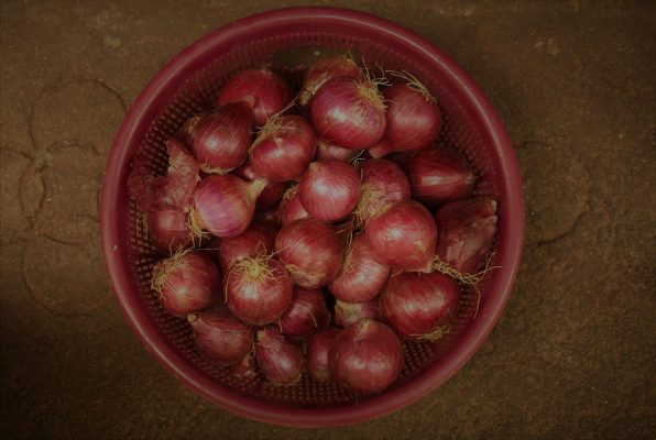 Energi Surya untuk Pertanian Bawang Merah Pintar