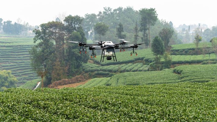 Energi Surya untuk Pertanian Anggur dengan Drone