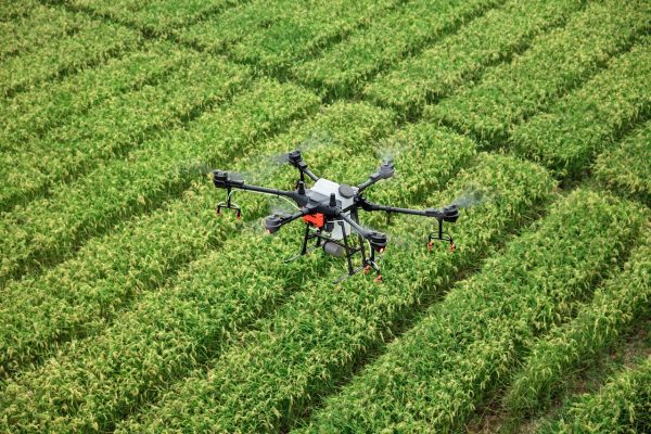 Energi Surya untuk Pertanian Anggur dan Drone Cerdas