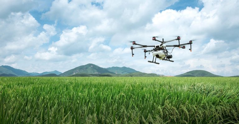 Energi Surya untuk Pertanian Anggur dengan Drone dan AI