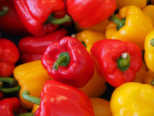 Cara Hemat Listrik Tanpa PLN Menggunakan Energi Surya Paprika