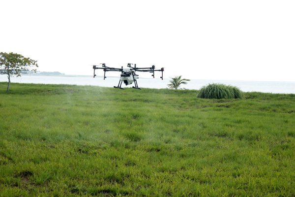 Energi Surya untuk Pertanian Anggur dengan Drone Estimasi