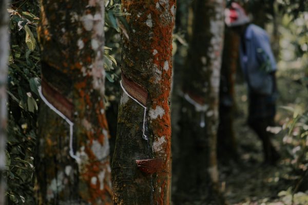 Cara Hemat Listrik Tanpa PLN Menggunakan Energi Surya Karet