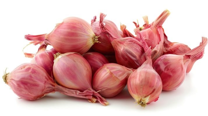 Energi Surya untuk Pertanian Bawang Merah Produktif