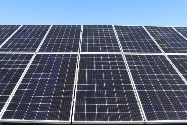 Pertanian Berkelanjutan, Pompa Air Tenaga Surya untuk Tomat