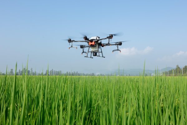 Energi Surya untuk Pertanian Anggur dengan Drone Modern