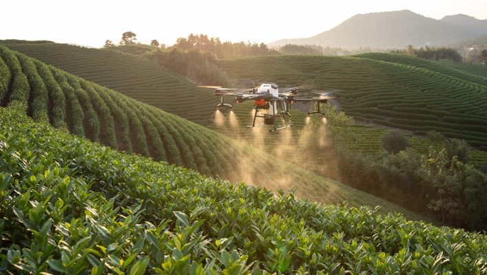 Energi Surya untuk Pertanian Anggur dengan Drone Pintar