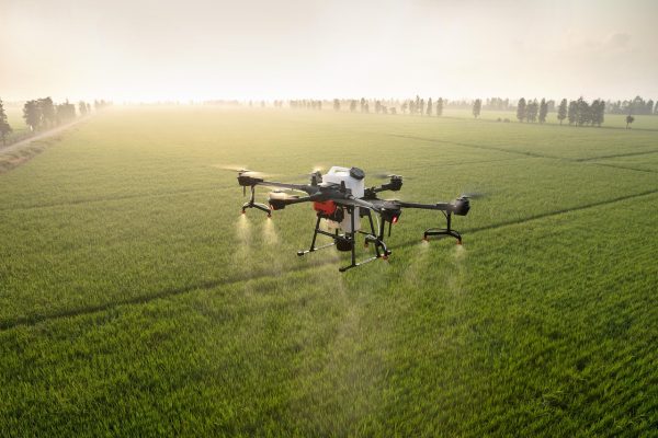 Energi Surya untuk Pertanian Anggur dan Drone Digital