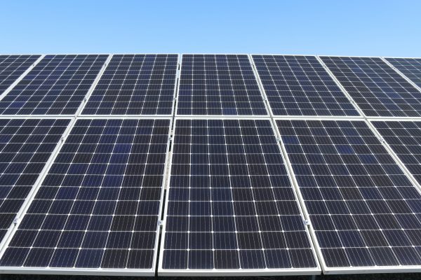Teknologi Agrivoltaics: Masa Depan Pertanian Tenaga Surya