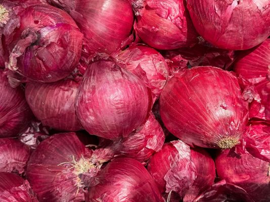 Energi Surya untuk Pertanian Bawang Merah Jangka Panjang