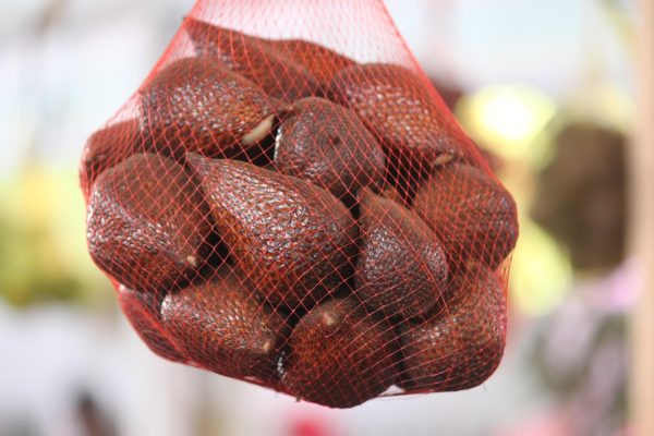 Pompa Tenaga Surya untuk Kebun Salak yang Lebih Hemat Listrik