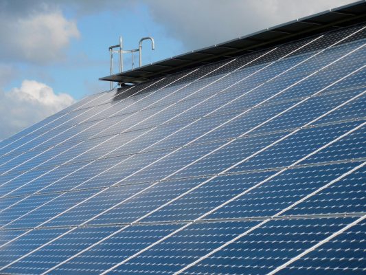 Cara Hemat Listrik Tanpa PLN, Panel Surya untuk Peternakan Sapi
