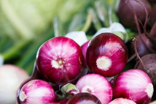 Energi Surya untuk Pertanian Bawang Merah Masa Depan