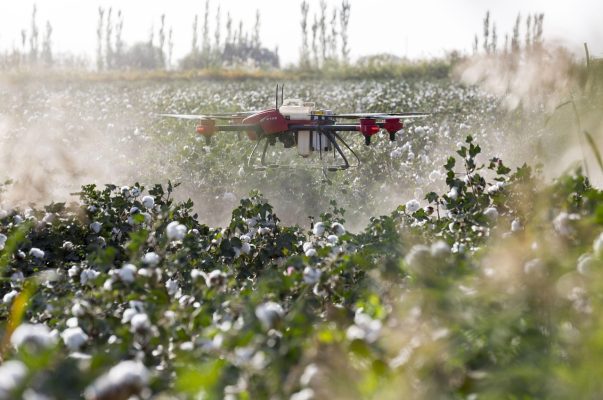 Energi Surya untuk Pertanian Anggur dan Drone Pintar