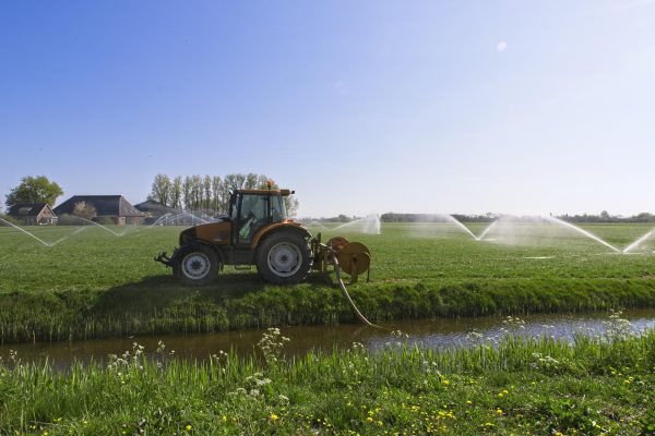 Memilih Pompa Tenaga Surya untuk Sistem Pompa untuk Kebun Luas