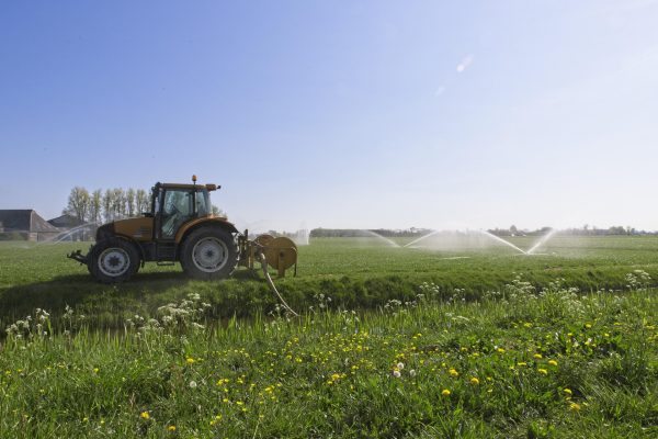 Memilih Pompa Tenaga Surya untuk Irigasi Pertanian Hemat Air