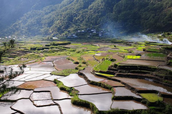 Memilih Pompa Tenaga Surya Modern untuk Pertanian yang Hijau