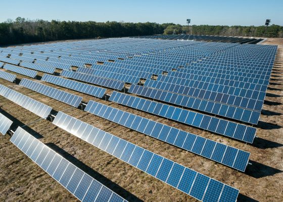 Energi Surya untuk Pertanian Masa Depan Menuju Pangan Hijau