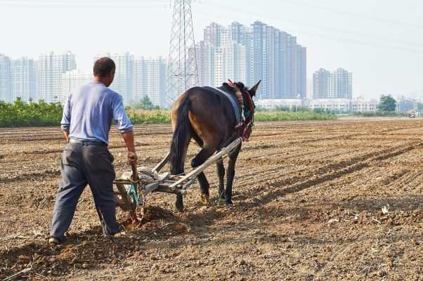 Memilih Pompa Tenaga Surya untuk Kebutuhan Irigasi Skala Komersial