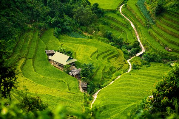 Memilih Pompa Tenaga Surya untuk Sawah Tadah Hujan