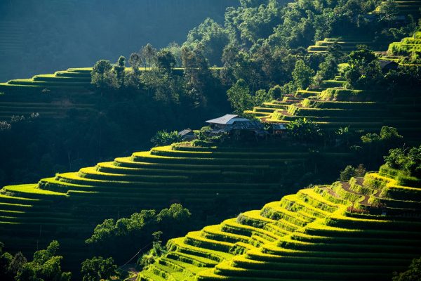 Memilih Pompa Tenaga Surya dengan Reservoir untuk Sawah