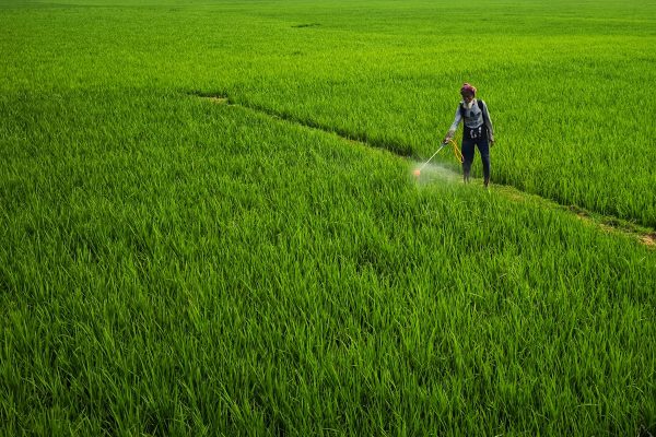 Memilih Pompa Tenaga Surya dengan Sistem Hybrid Pertanian