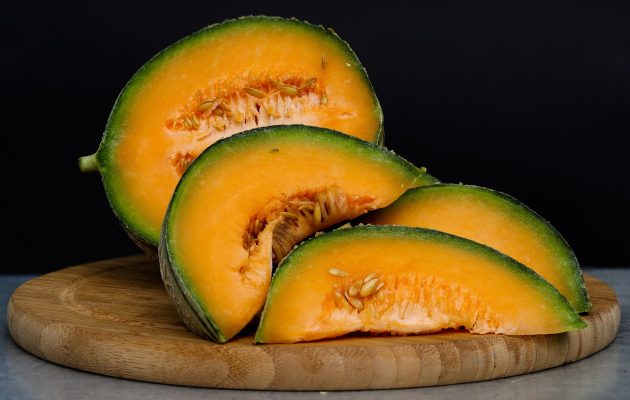 Energi Surya untuk Pertanian Melon di Lahan Kering