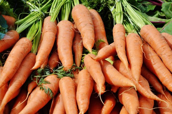 Memilih Pompa Tenaga Surya untuk Greenhouse Wortel Efisien