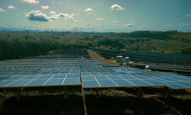 Inovasi Energi Surya untuk Pertanian Hortikultura