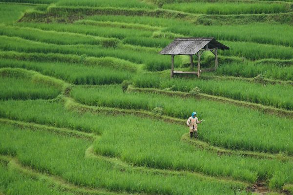 Memilih Pompa Tenaga Surya Berbasis Panel Surya Ramah Lingkungan