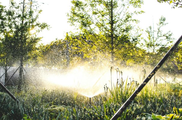Memilih Pompa Tenaga Surya untuk Hortikultura Modern
