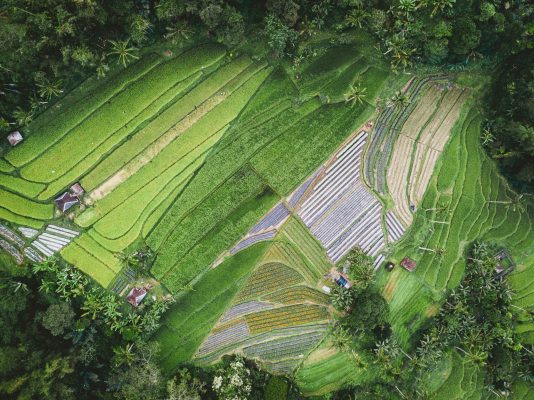 Energi Surya untuk Pertanian Hortikultura Adaptif Iklim
