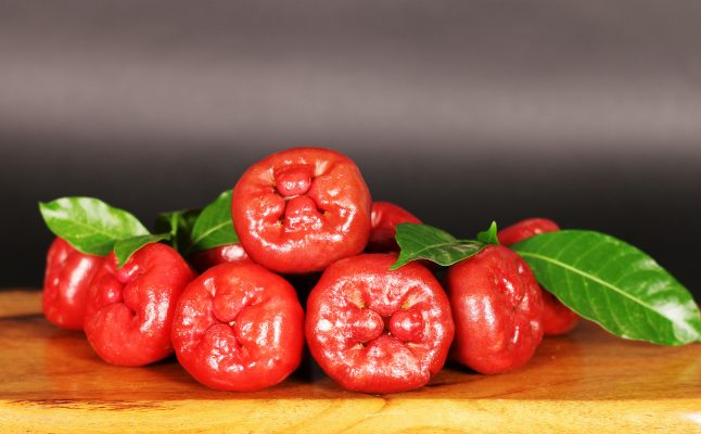Memilih Pompa Tenaga Surya Sesuai Luas Kebun Jambu Air