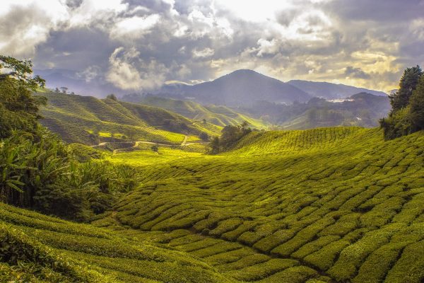 Kesalahan Memilih Pompa Tenaga Surya dan Pipa Irigasi