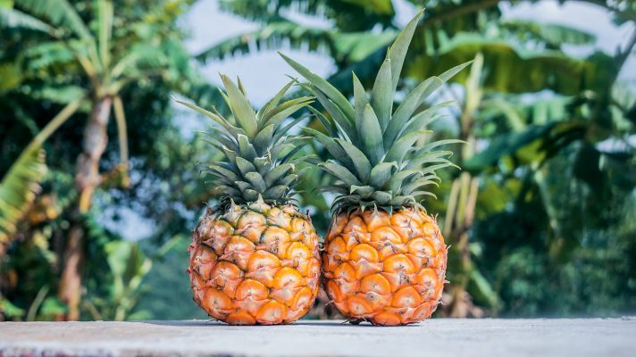 Energi Surya untuk Pertanian Nanas yang Hemat Biaya