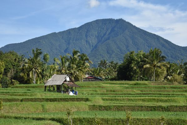 Memilih Pompa Tenaga Surya untuk Lahan Tanpa PLN