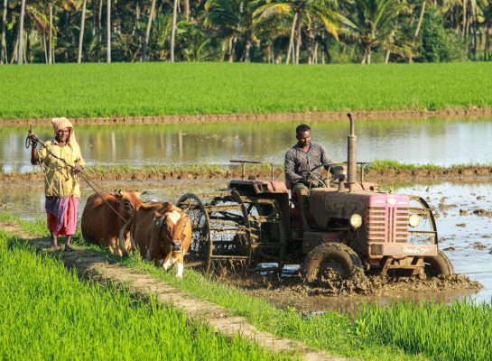 Energi Surya untuk Pertanian Hortikultura Terpencil