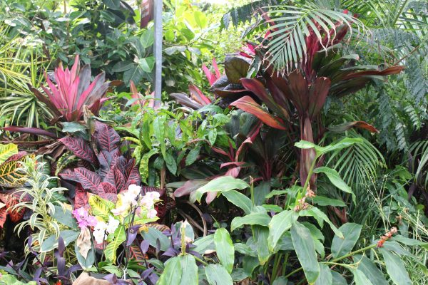 Memilih Pompa Tenaga Surya untuk Hemat Biaya Kebun Hias