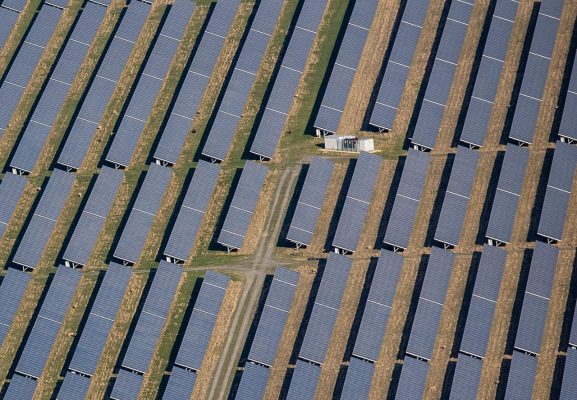 Energi Surya untuk Pertanian Teh sebagai Investasi Hijau