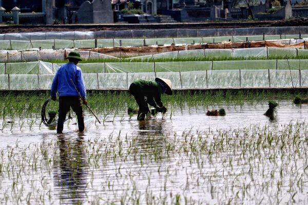 Memilih Pompa Tenaga Surya dengan Perhitungan Daya Tepat