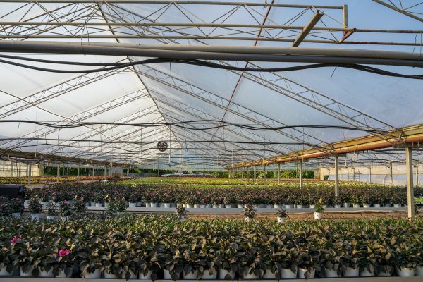Memilih Pompa Tenaga Surya untuk Pertanian Berbasis Sistem Irigasi Cerdas