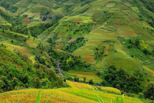 Memilih Pompa Tenaga Surya sebagai Solusi Pertanian Hijau Kini