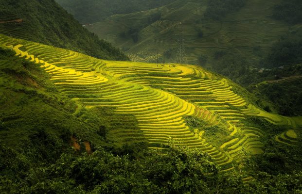 Memilih Pompa Tenaga Surya untuk Sawah dari Sumur Dalam