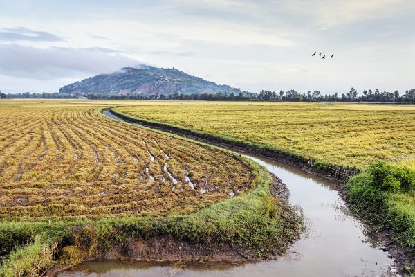 Memilih Pompa Tenaga Surya Berdasarkan Ukuran Lahan Pertanian