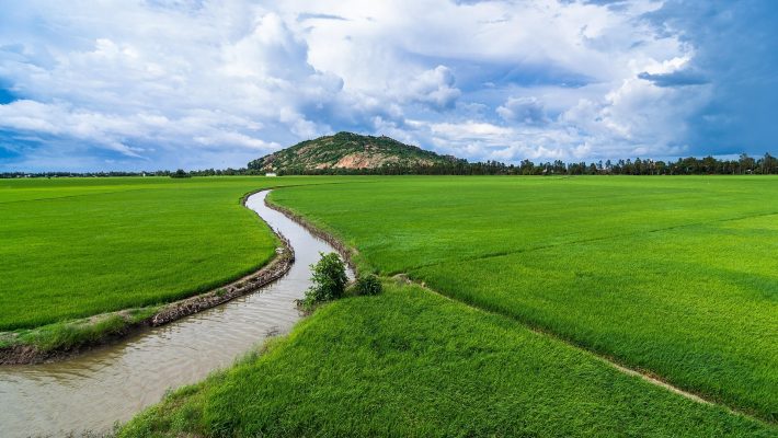 Cara Memilih Pompa Tenaga Surya untuk Irigasi Pertanian yang Modern